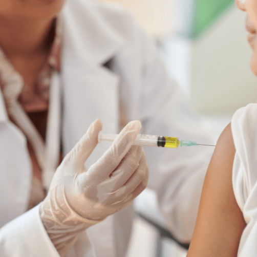 hero image size 502 x 502