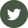 twitter green icon 3x