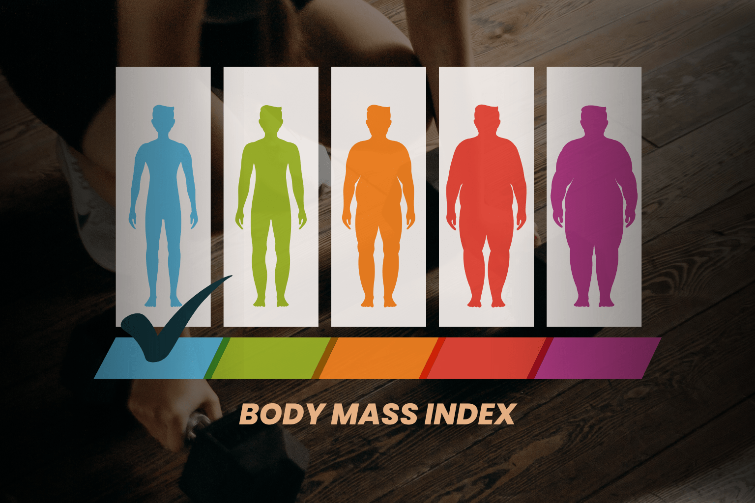 understand your body category with the bmi calculator (1)